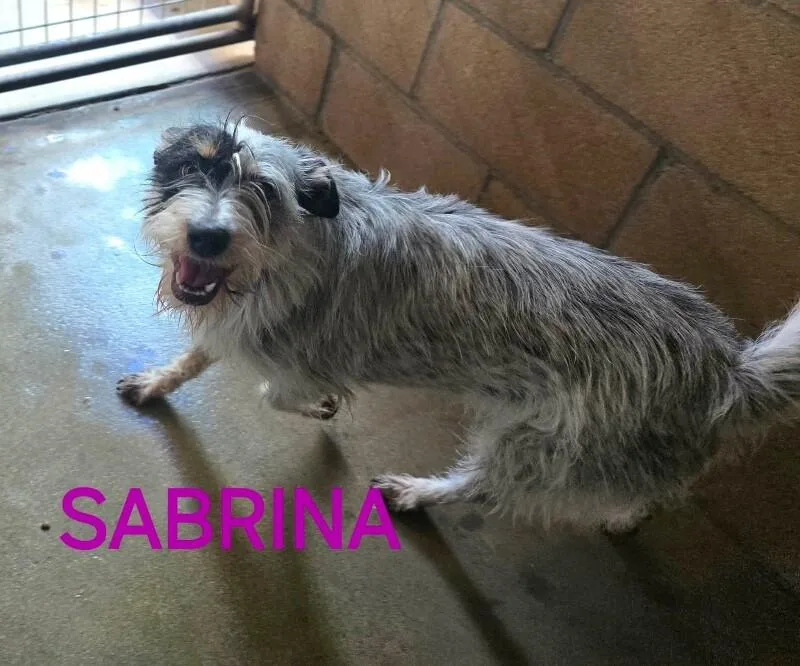 Sabrina