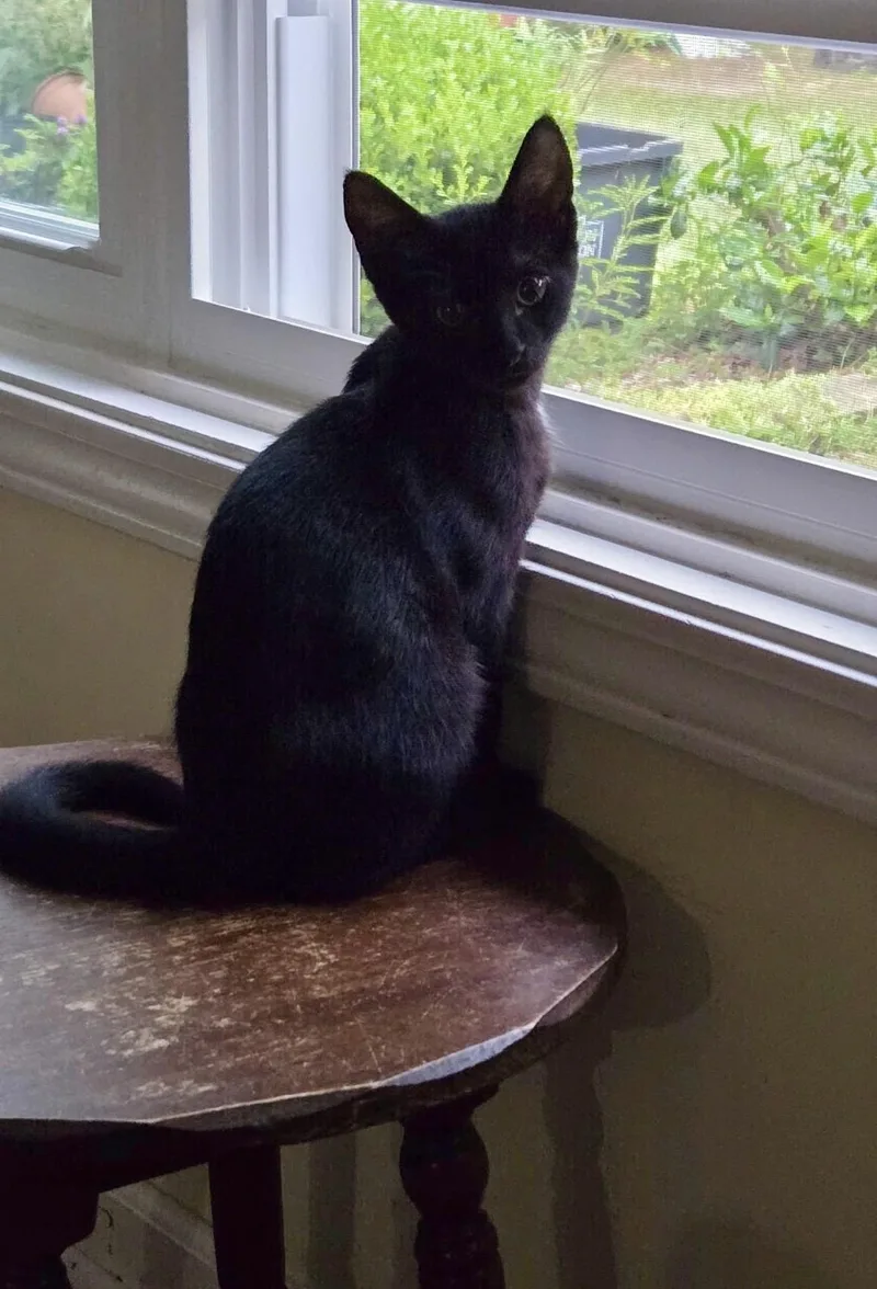 Baby Bleu