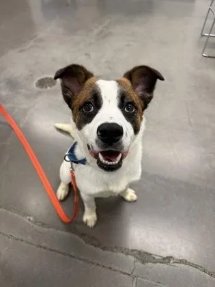 Giovanni thumbnail 3