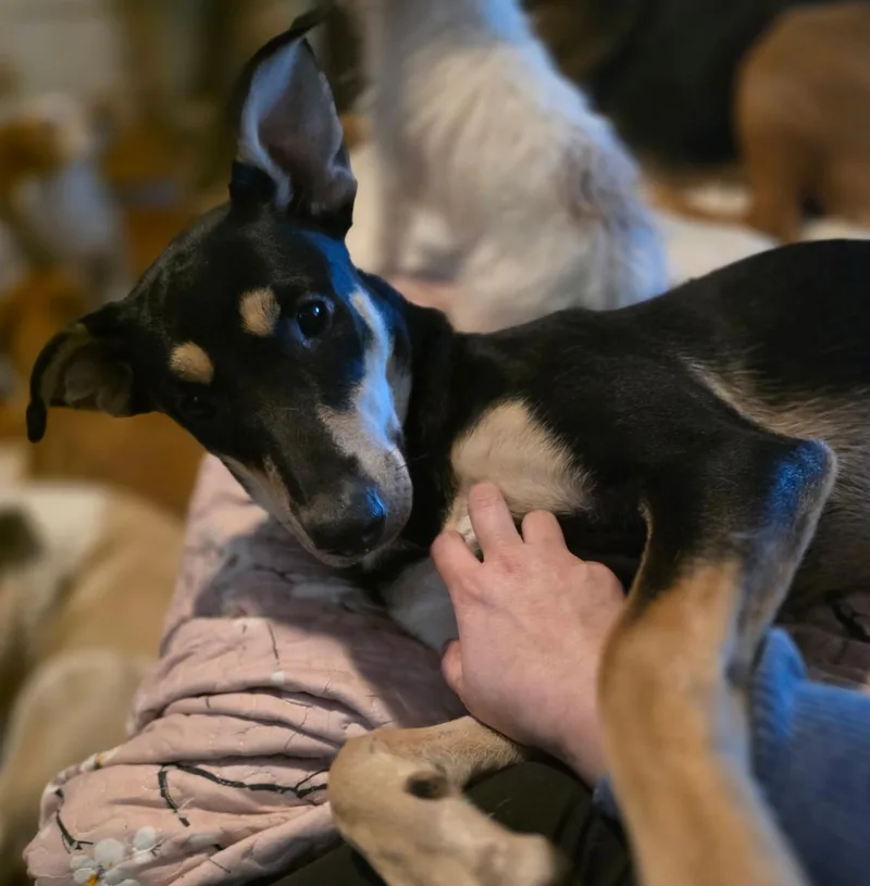 Beyonce thumbnail 3