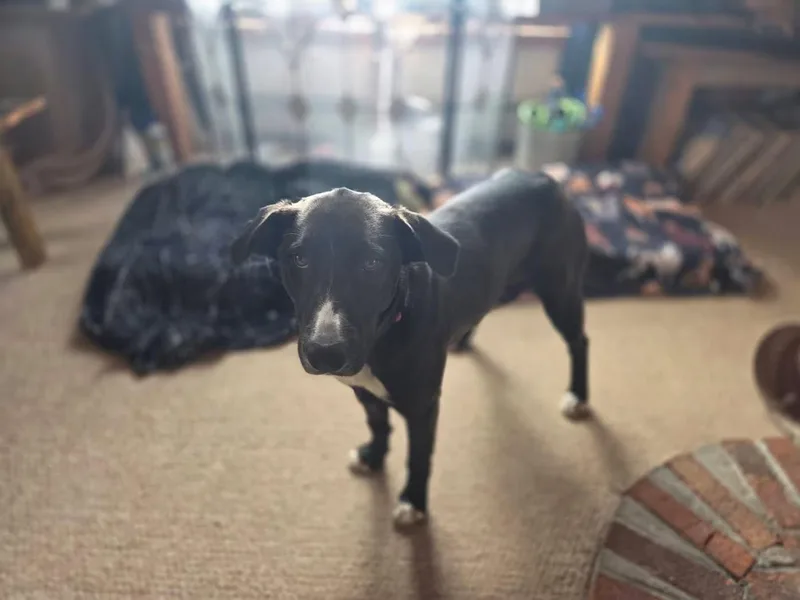 Missy thumbnail 3