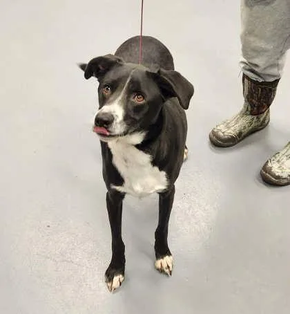 Pepper Sadie Sponsored thumbnail 3