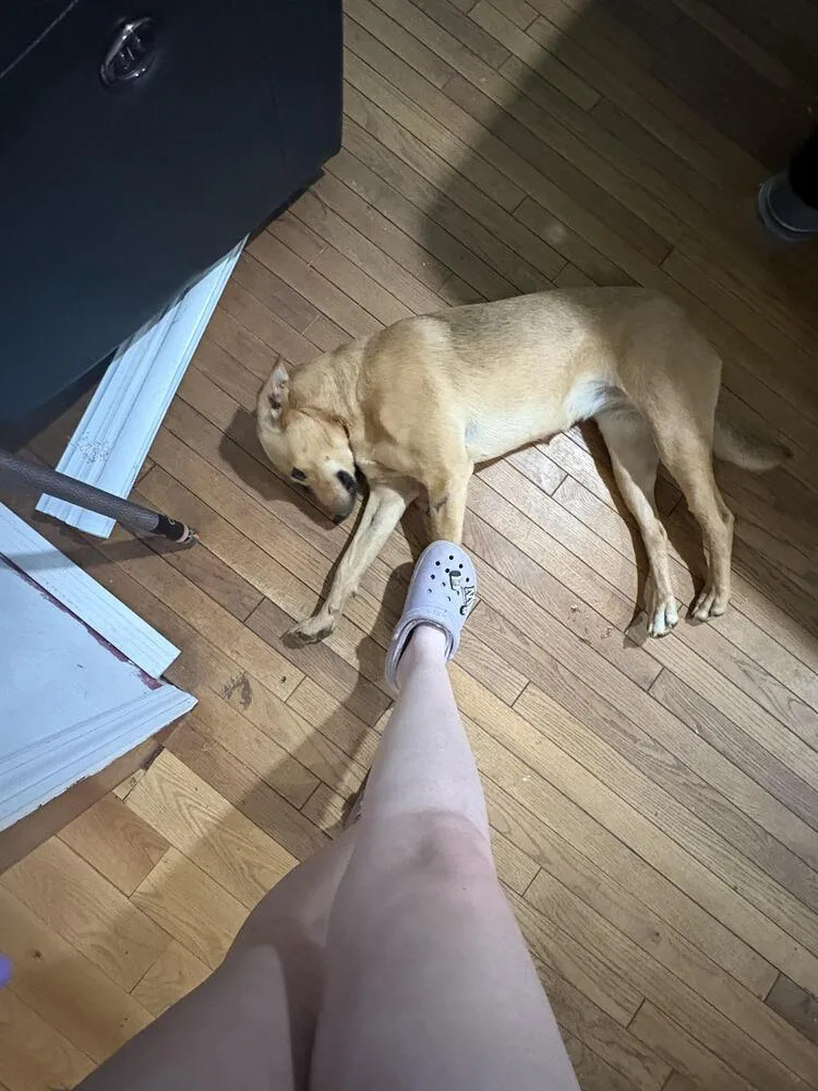 Bailey thumbnail 3