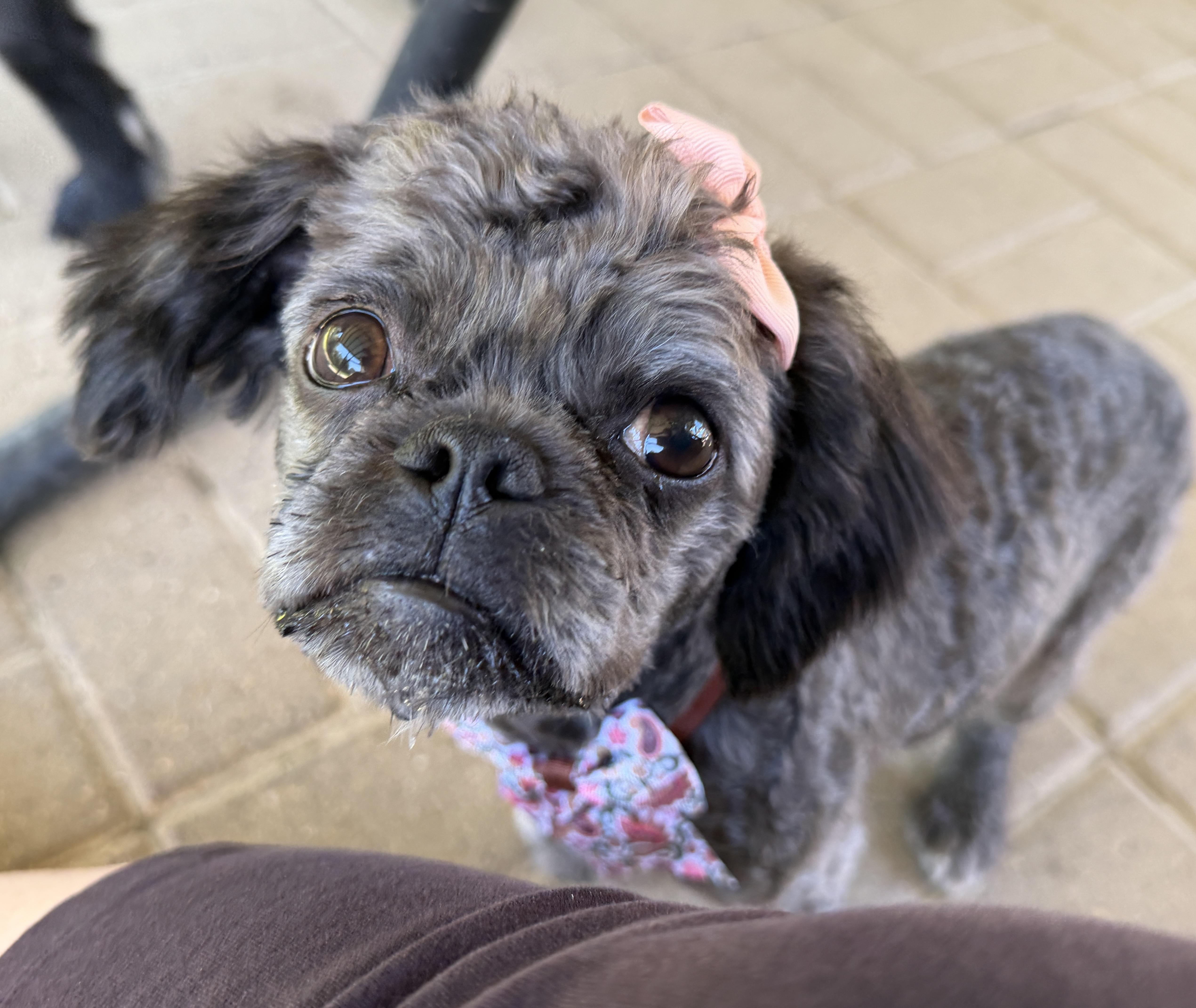 Coco thumbnail 2