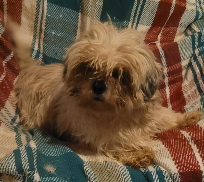 Such A Sweetheart!! thumbnail 2