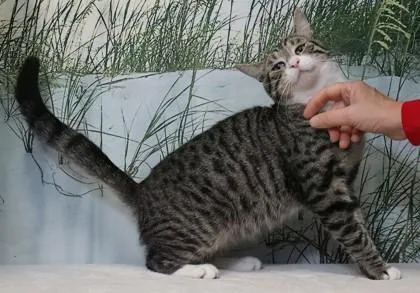 Carl thumbnail 3