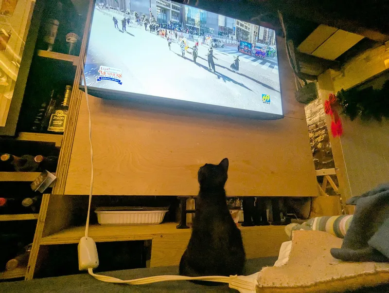 Sgt. Pepper Kleschick thumbnail 3