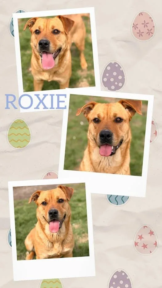 Roxie