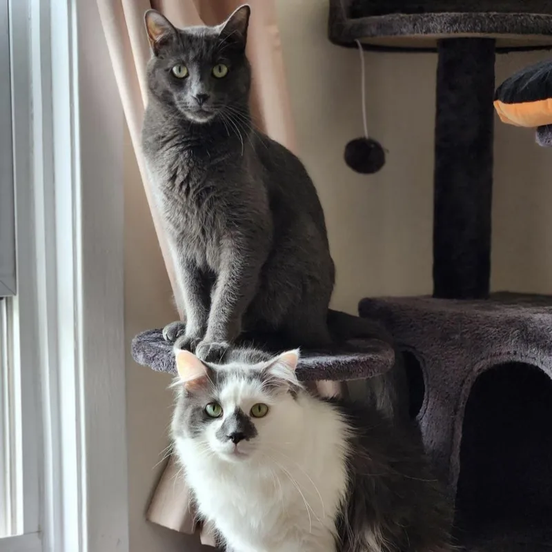 Slushie  Home To thumbnail 2