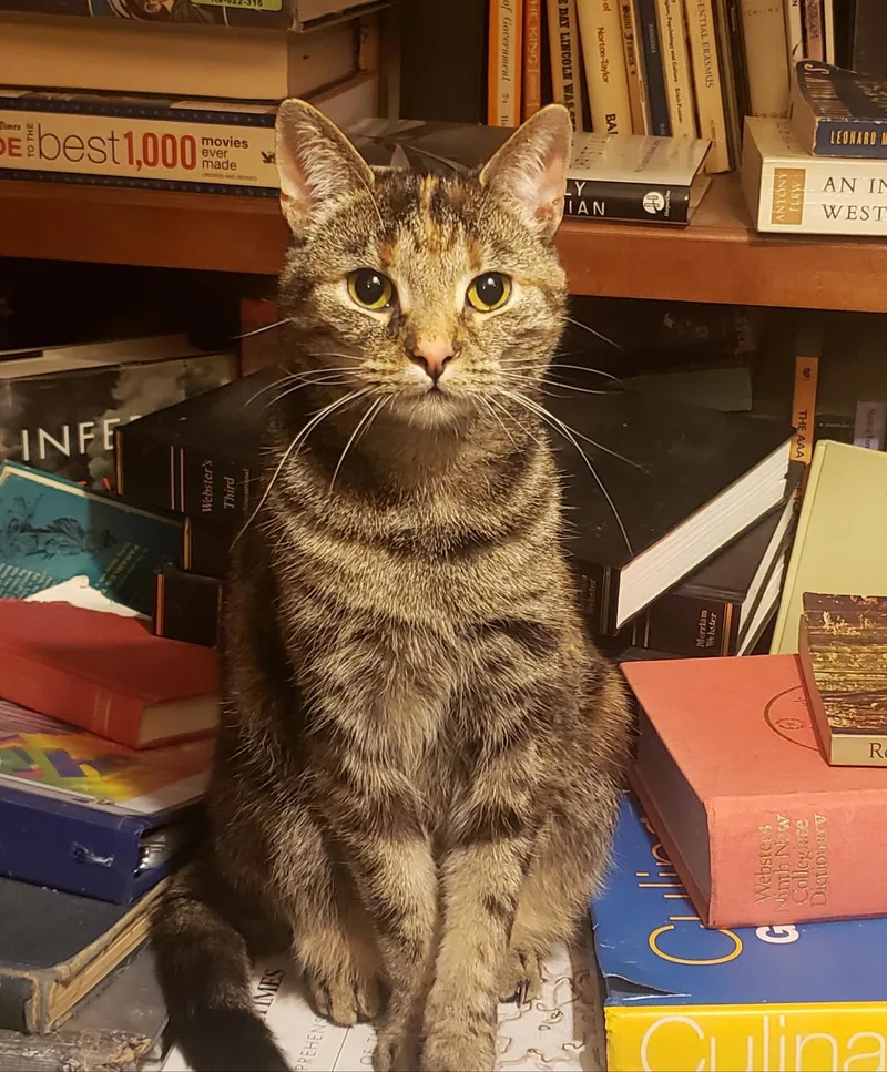 Magnolia Jane thumbnail 2