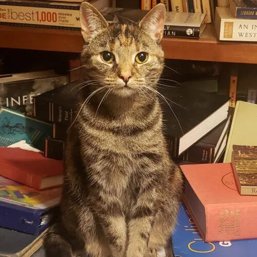 Magnolia Jane thumbnail 4