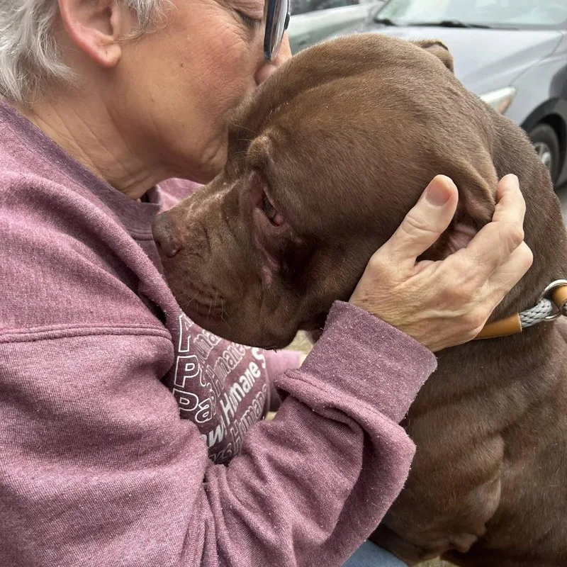 Chickpea thumbnail 4