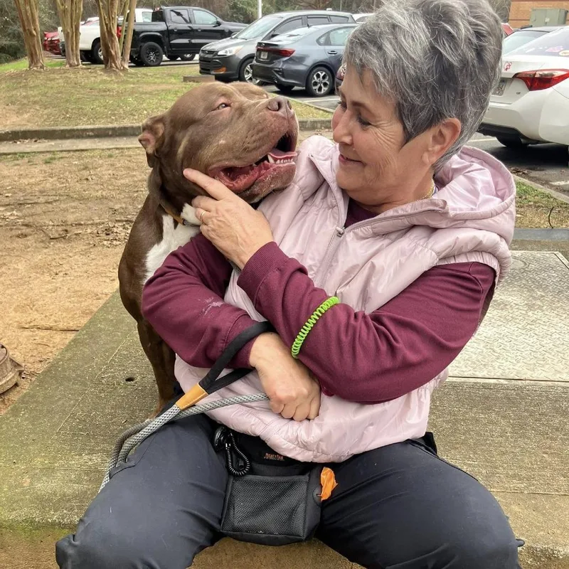 Chickpea thumbnail 5