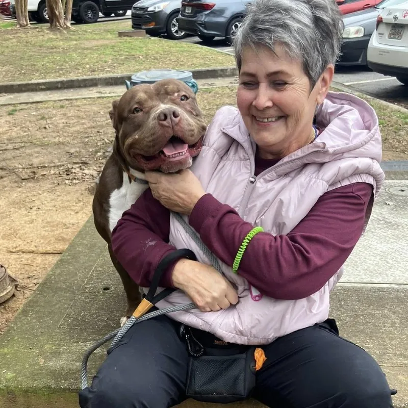 Chickpea thumbnail 6