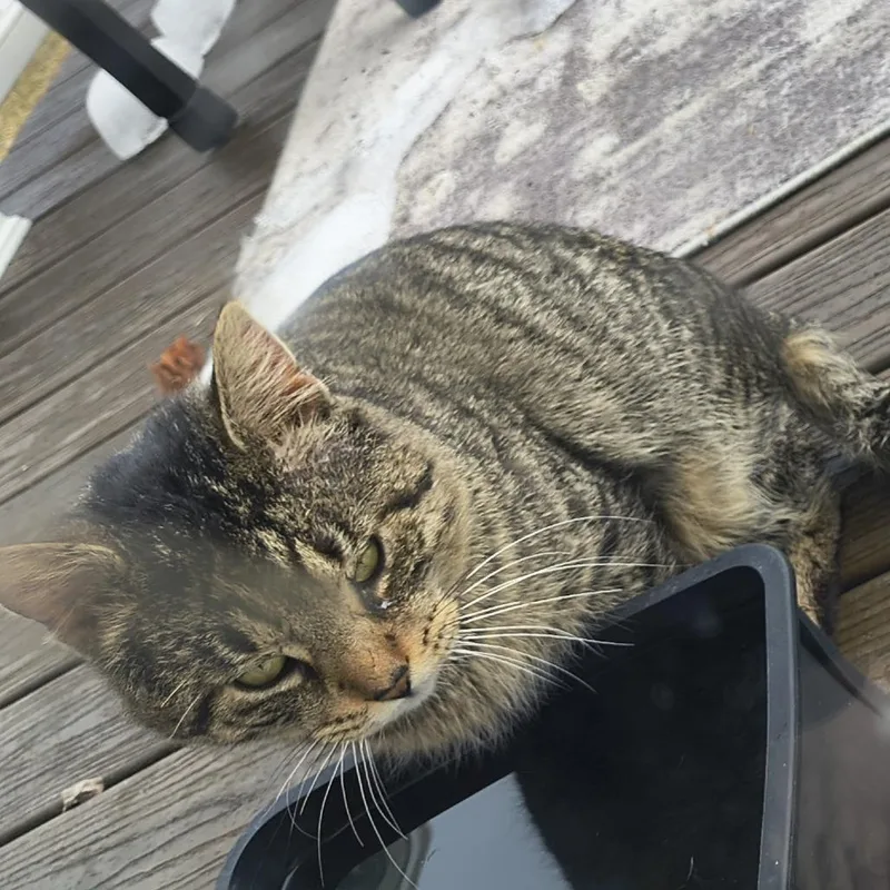 Rubbermaid C thumbnail 2