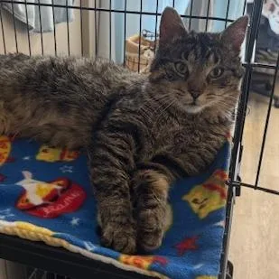 Rubbermaid C thumbnail 3