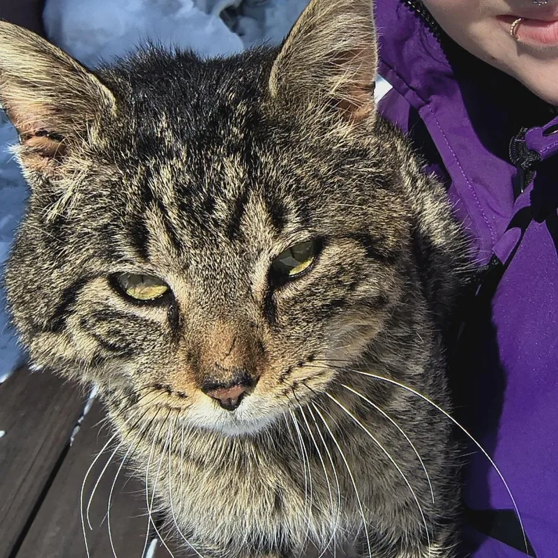 Rubbermaid C thumbnail 4