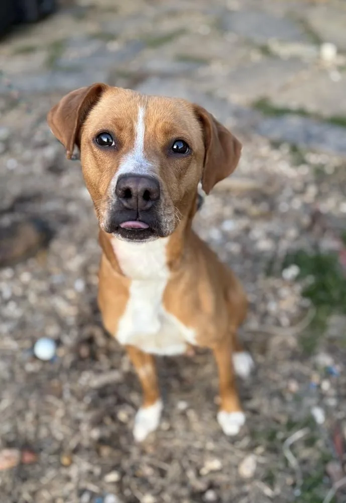 Ellie Mae thumbnail 2