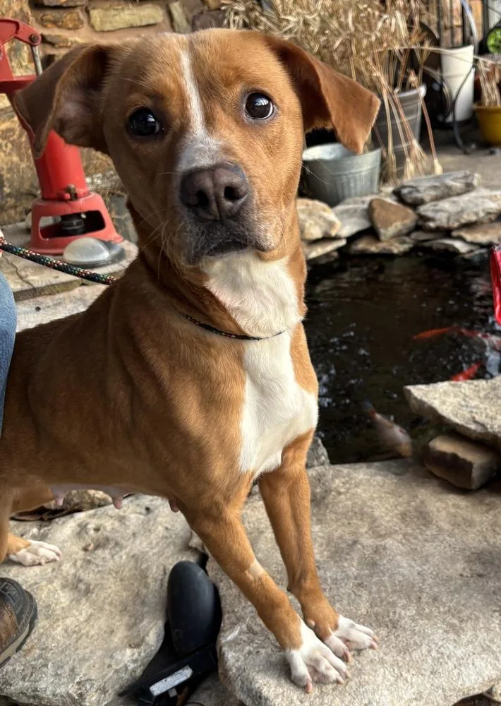 Ellie Mae thumbnail 4