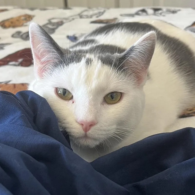 Game Stop thumbnail 2