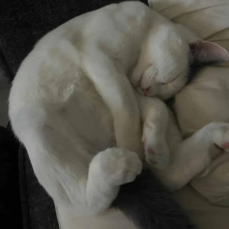 Game Stop thumbnail 3