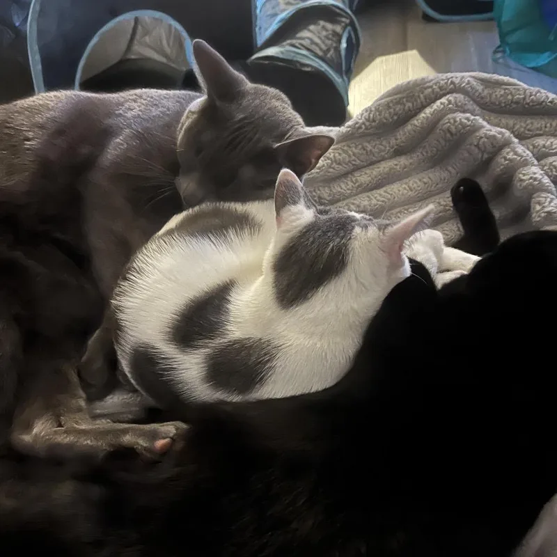 Game Stop thumbnail 5