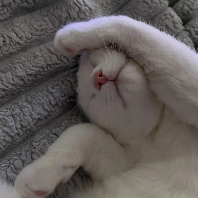 Game Stop thumbnail 6