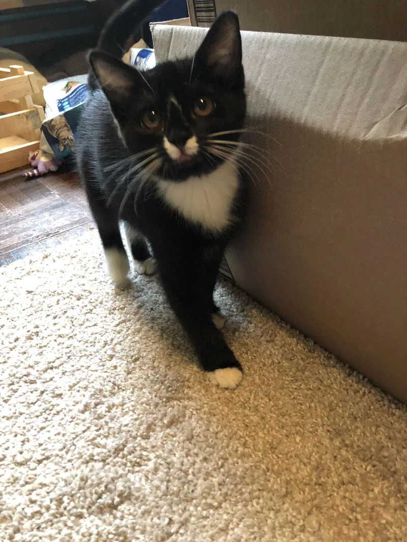 Wednesday thumbnail 2