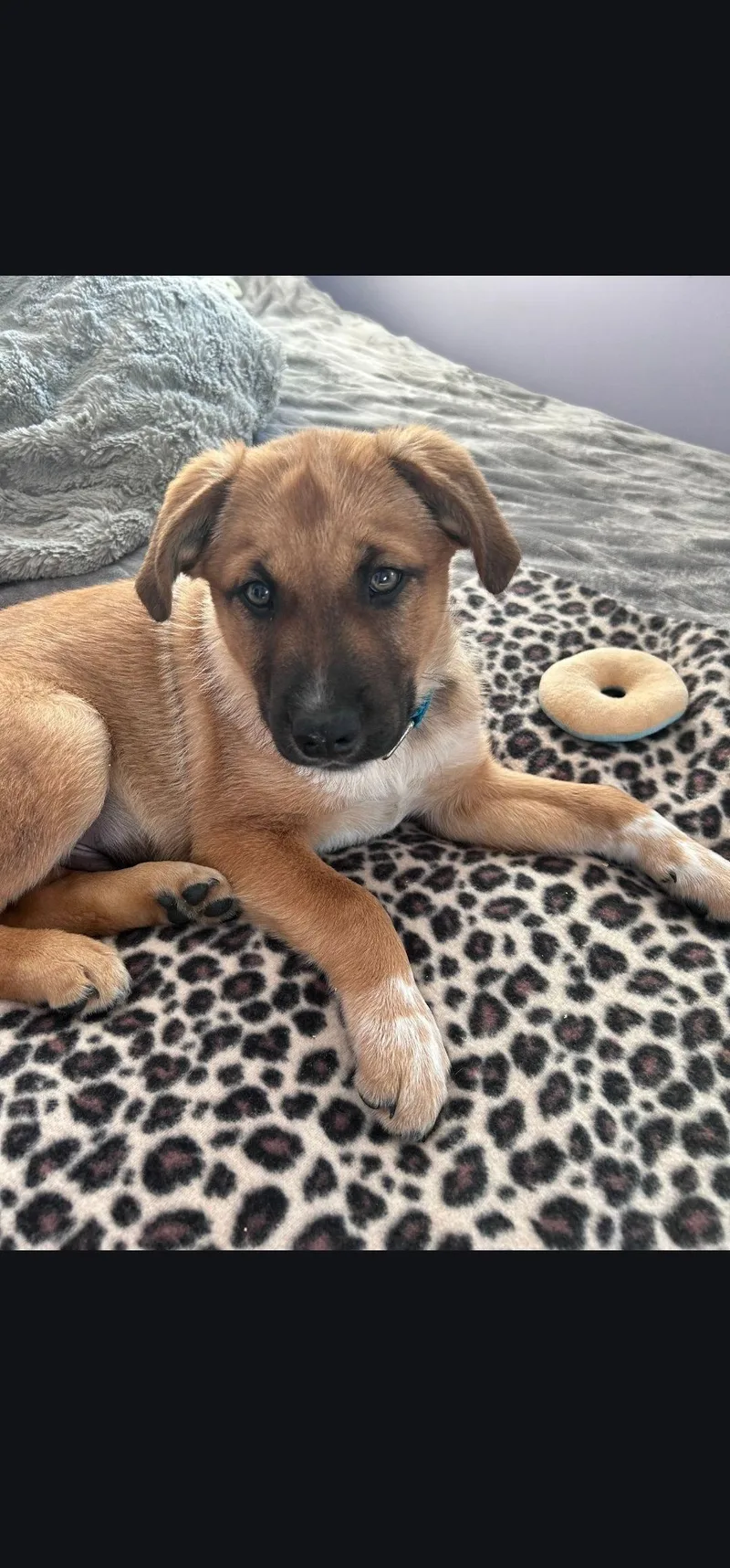 Wrangler thumbnail 2