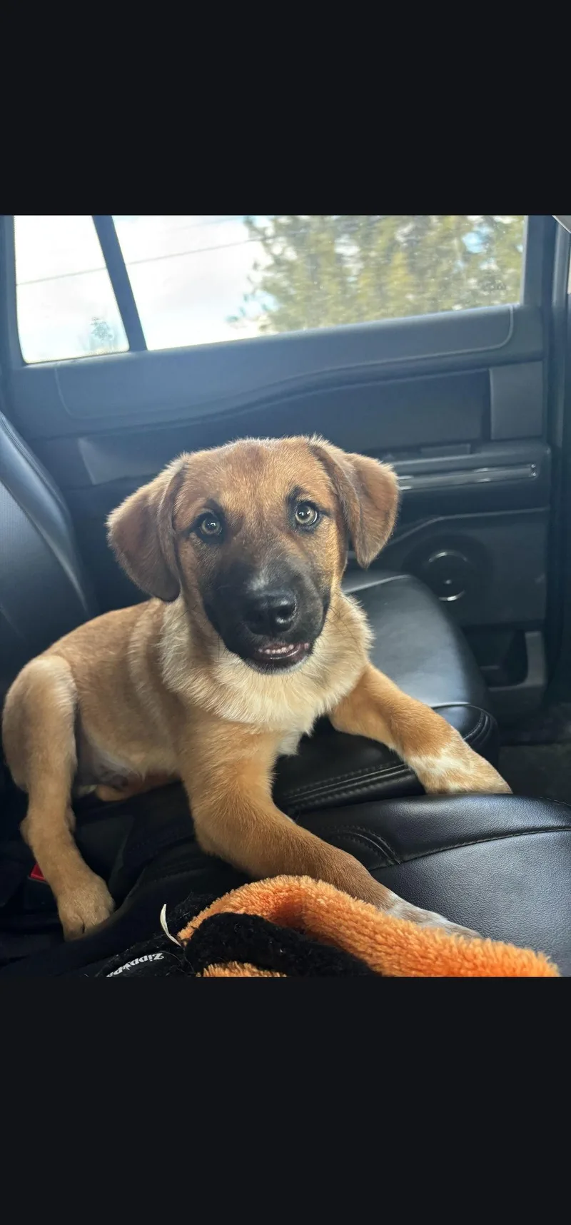 Wrangler thumbnail 3