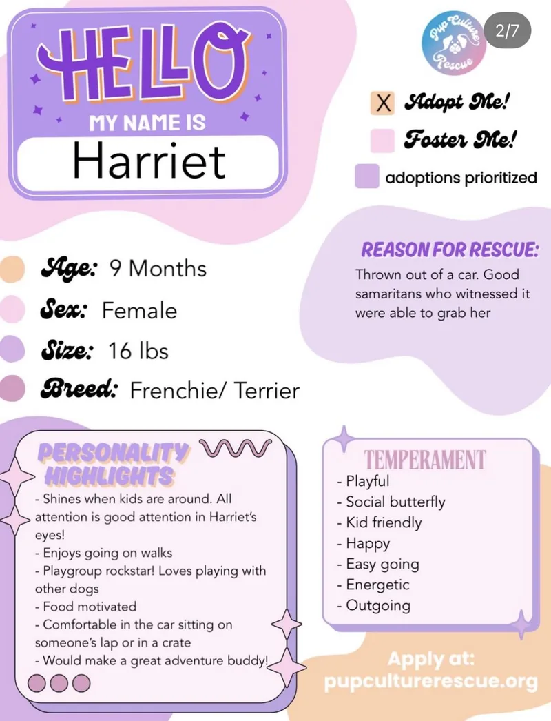 Harriet thumbnail 4