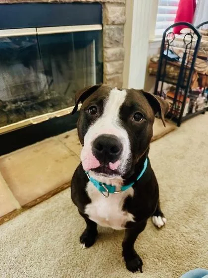 Midknight thumbnail 2