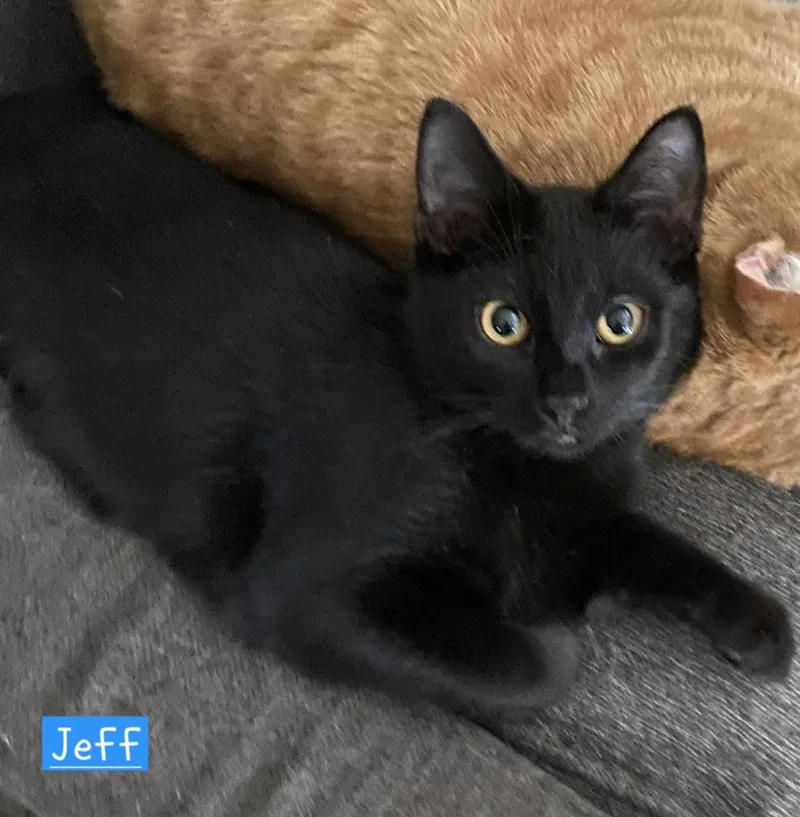 Jeff thumbnail 2