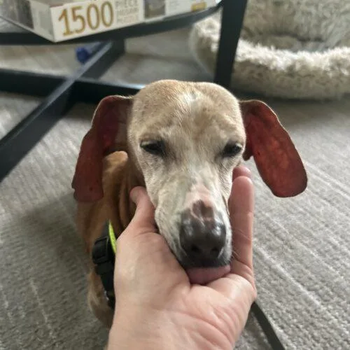 Harrison thumbnail 2