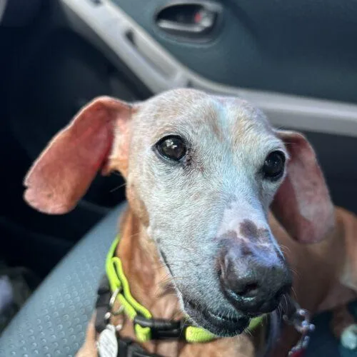 Harrison thumbnail 3