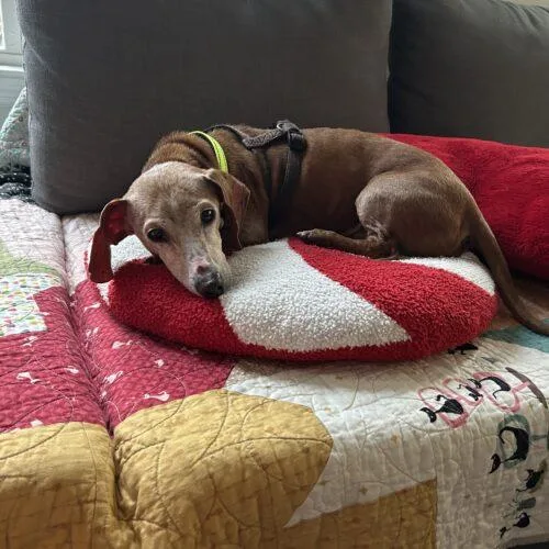 Harrison thumbnail 4