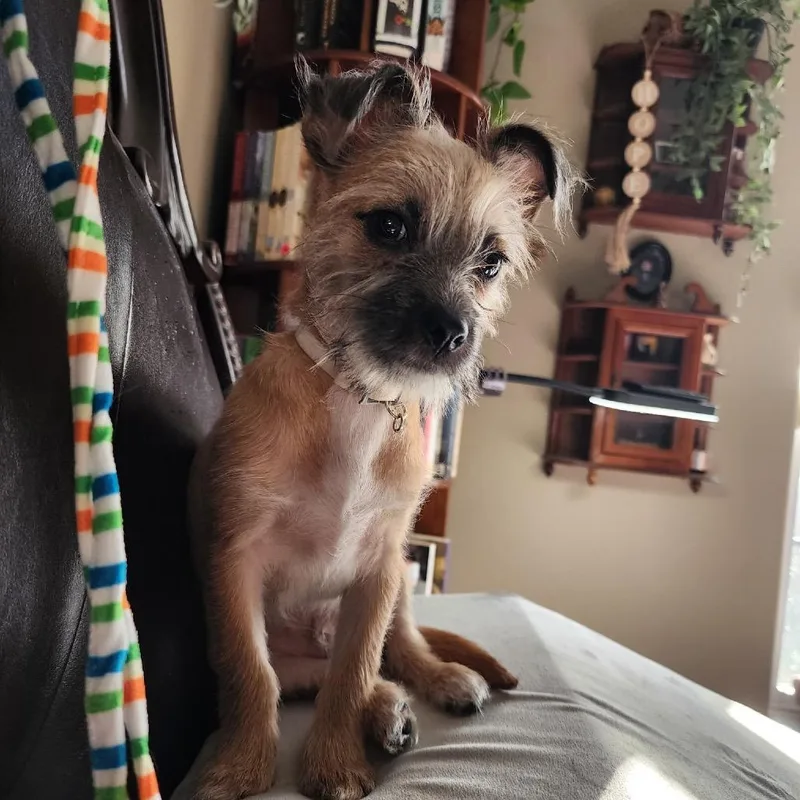 Willie thumbnail 3