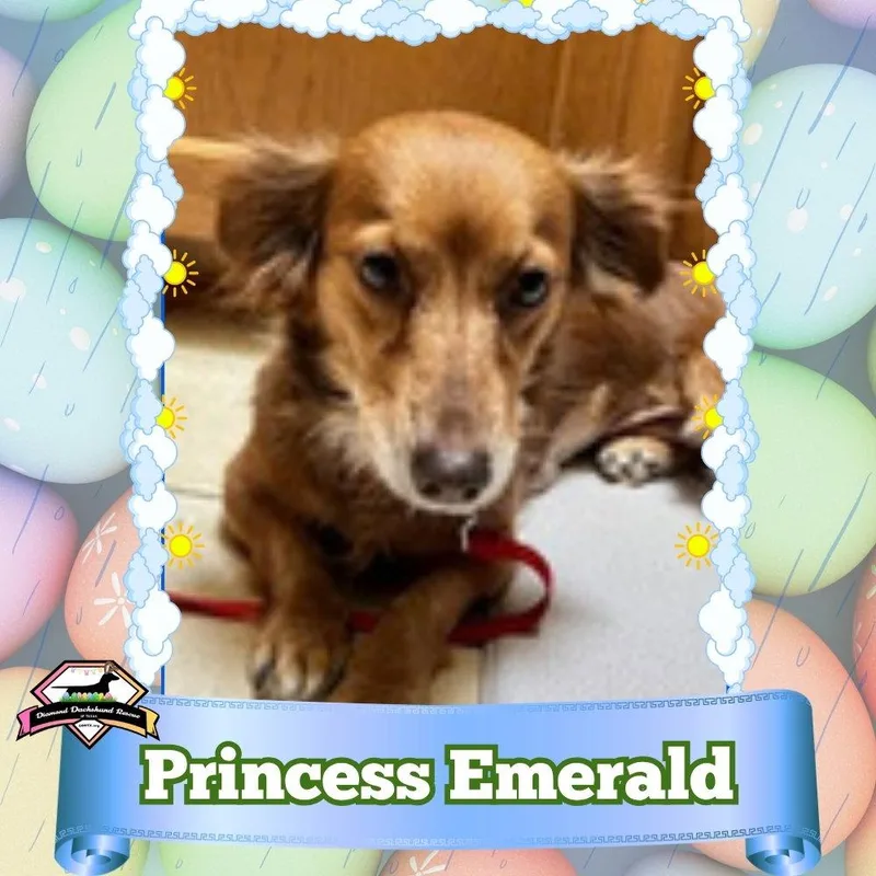 Princess Emerald