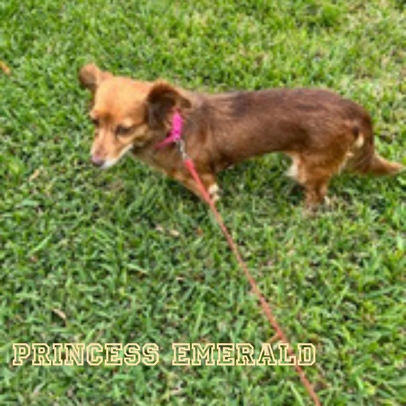 Princess Emerald thumbnail 3