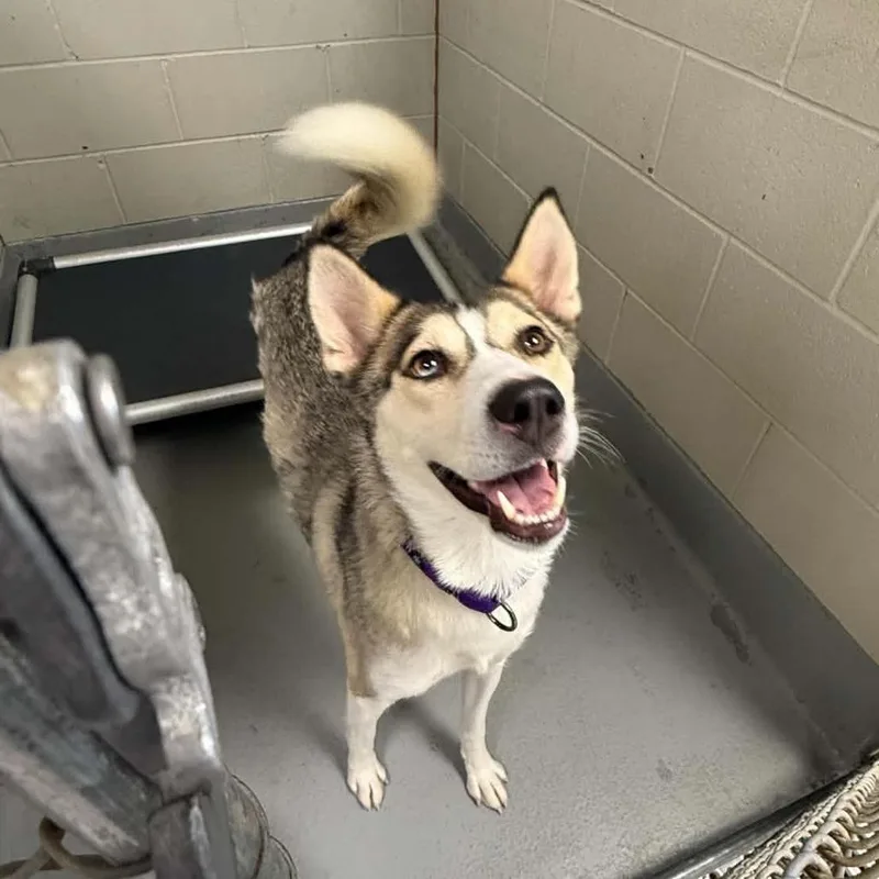 Kita