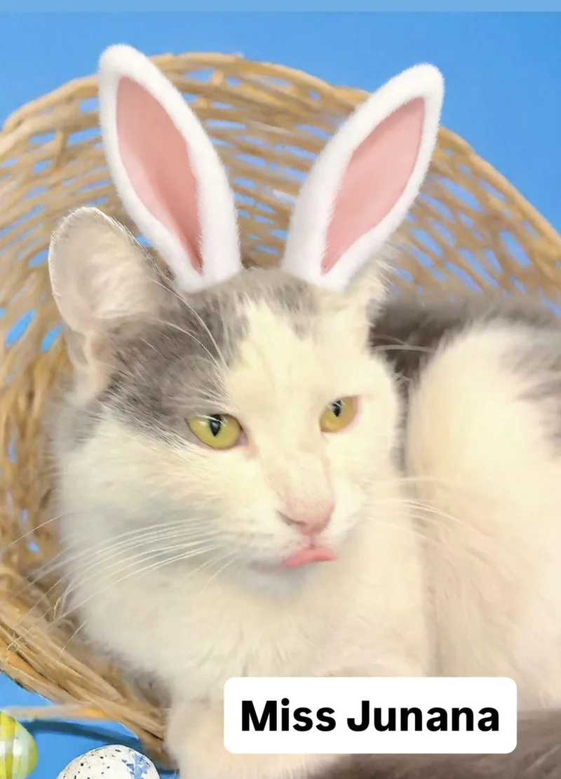 Miss Junana At Martinez thumbnail 2