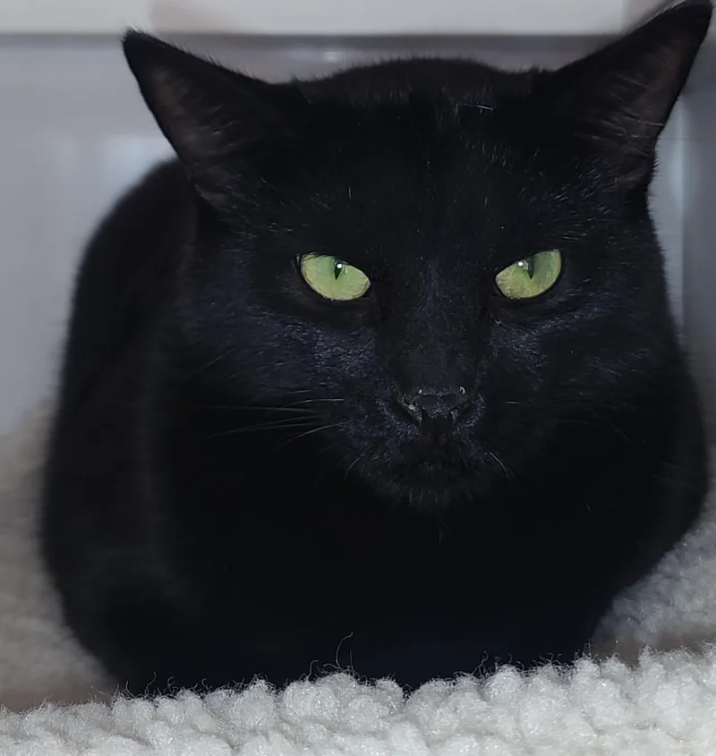 Smokey