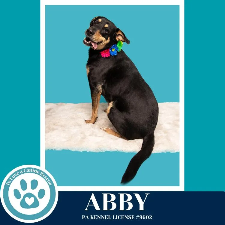 Abby