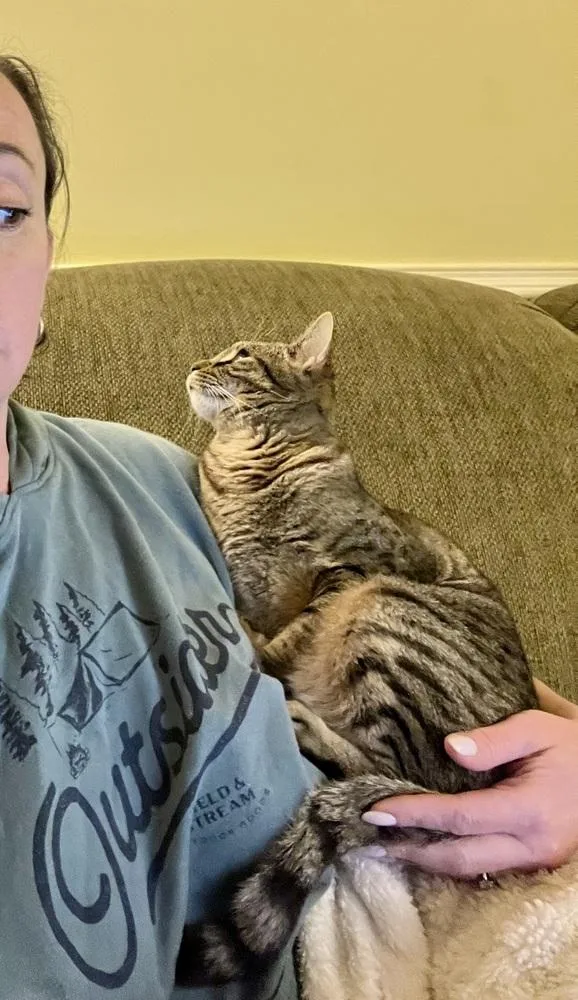 Henrietta thumbnail 4