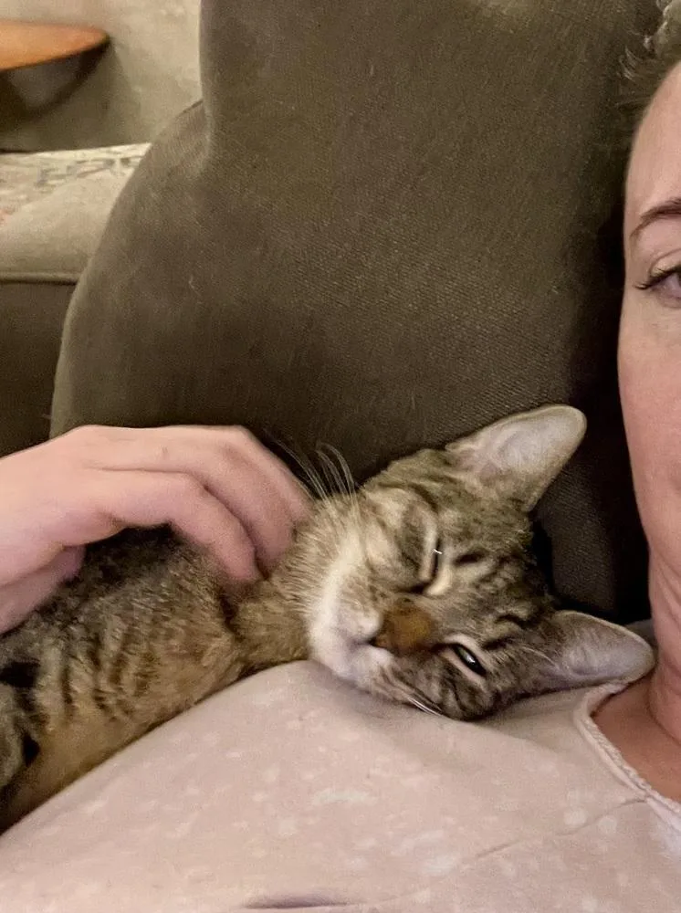 Henrietta thumbnail 6