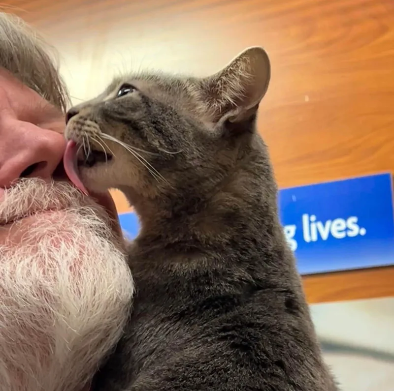 Mama Cat thumbnail 2