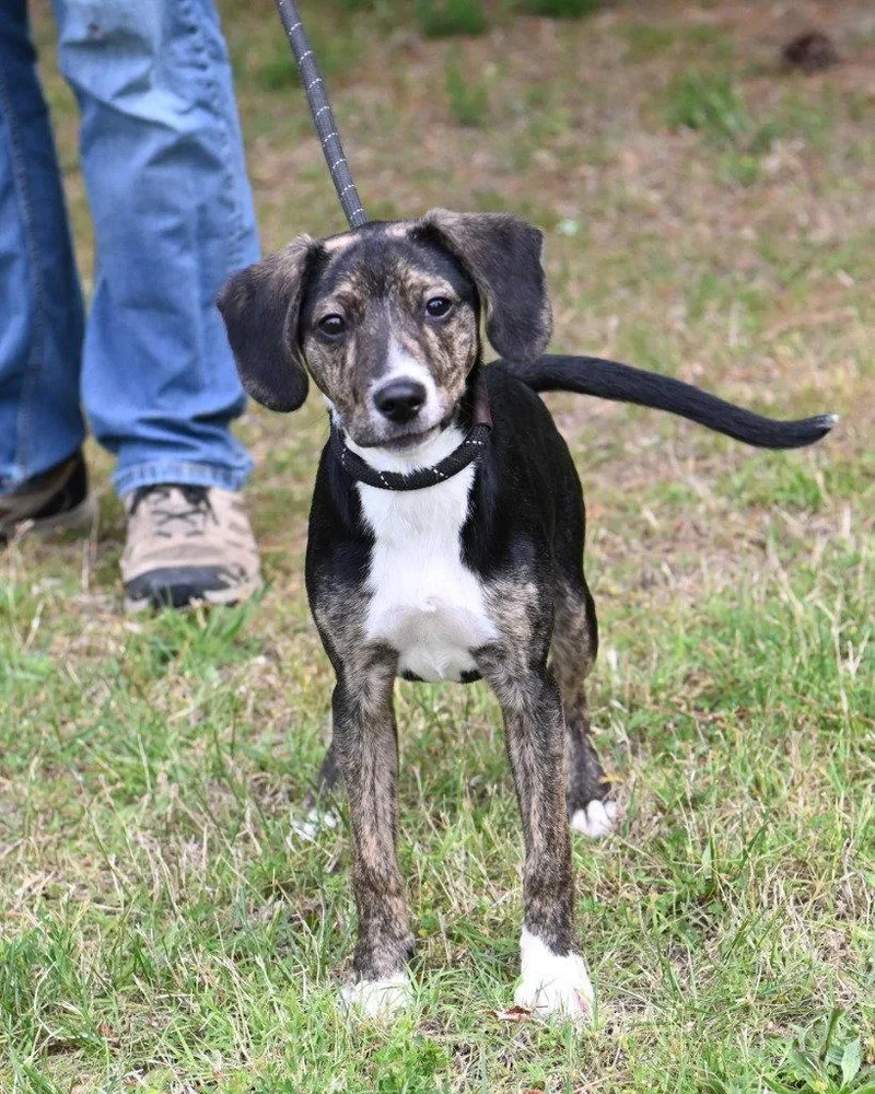 Pr  Roxie