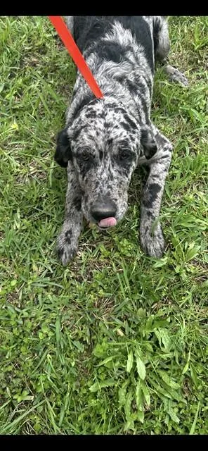 Rory