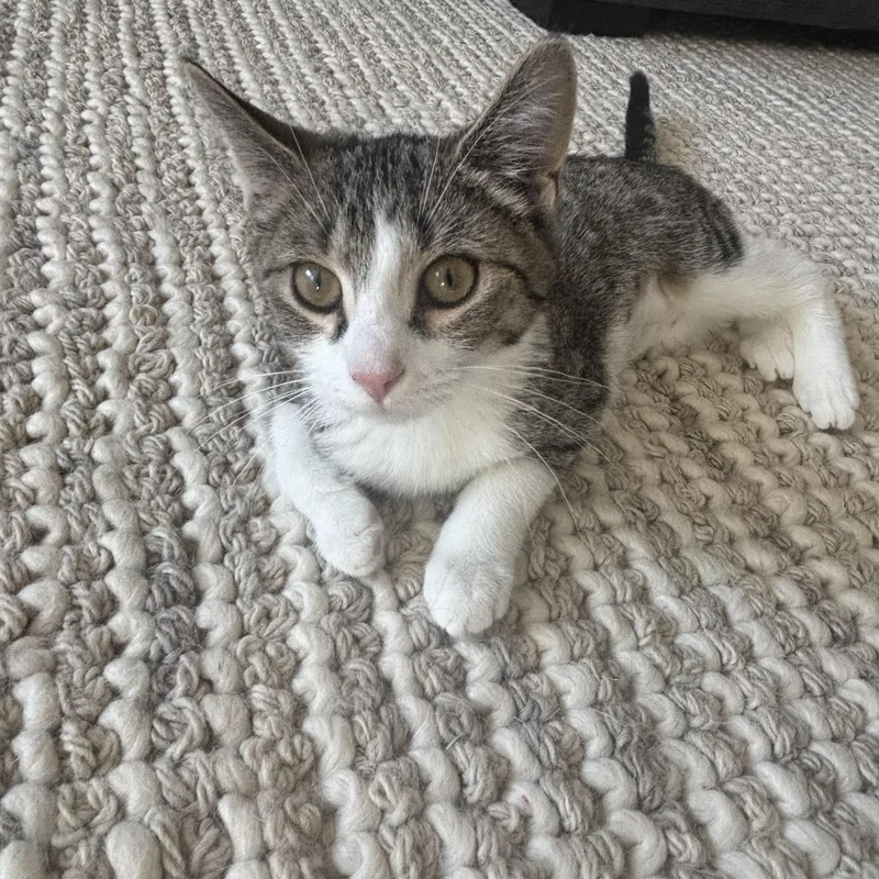 Stewart And Sugar Bee thumbnail 3