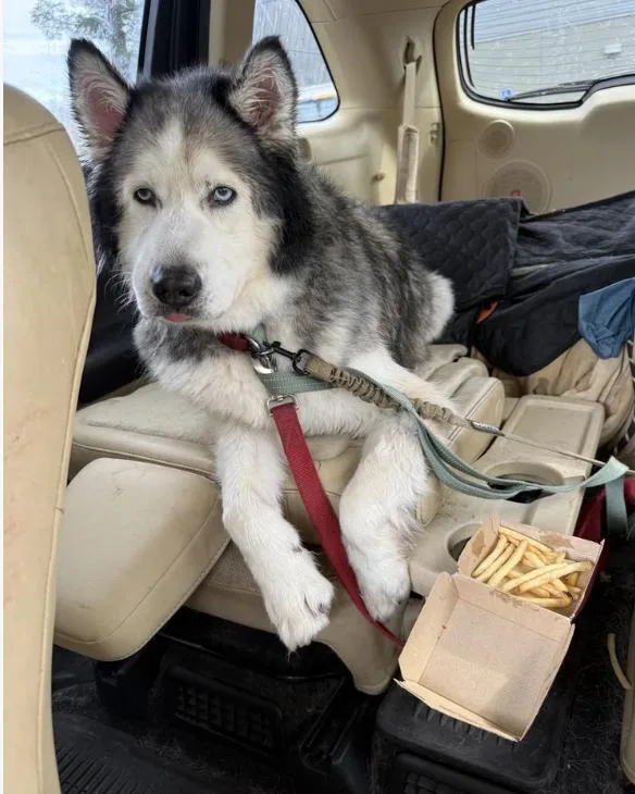 Blizzard thumbnail 2